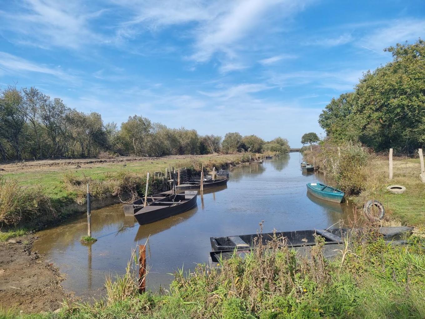 Studio Cosy A La Campagne Missillac Dış mekan fotoğraf